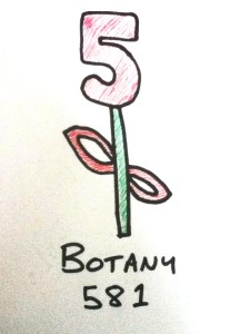 A drawing of a flower, made from the number 581, which is the Dewey Decimal reference for Botany